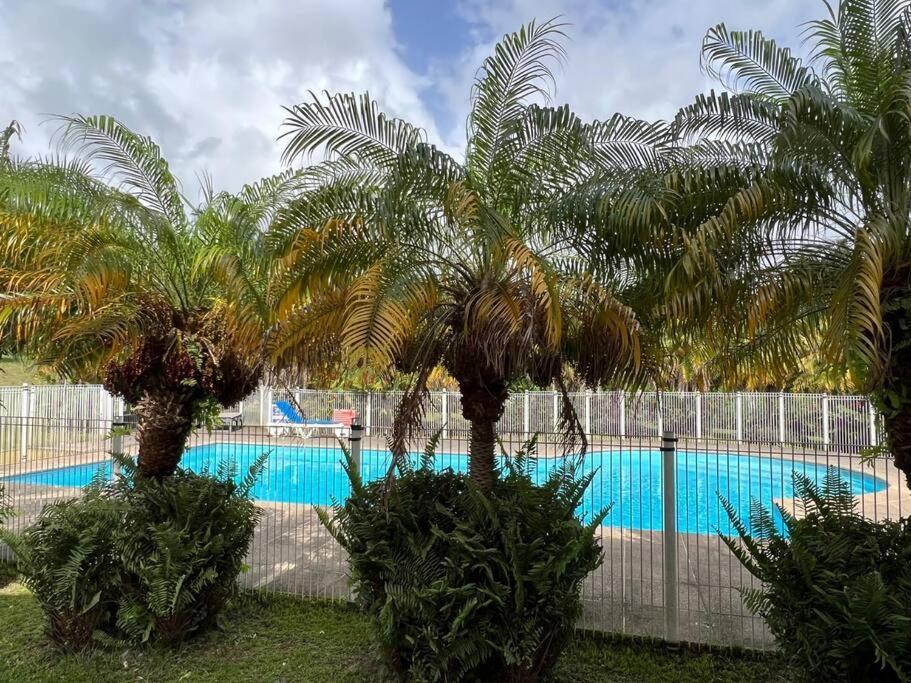 Kanoa Lodge Piscine Et Vue Mer Saint-Claude Exteriér fotografie